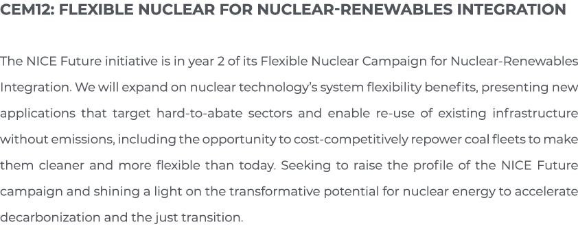 CEM12: Flexible Nuclear for Nuclear-Renewables Integration The NICE Future initiative is in year 2 of its Flexible Nu   