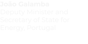 João Galamba  Deputy Minister and Secretary of State for Energy, Portugal