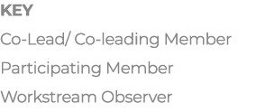 Key Co-Lead  Co-leading Member Participating Member Workstream Observer